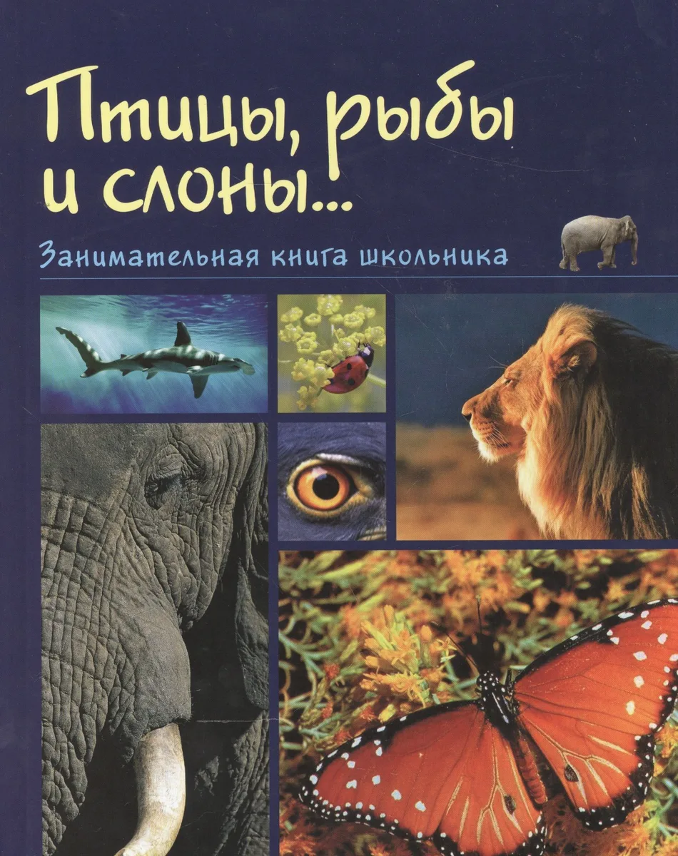 Птицы рыбы и слоны Занимательная книга школьника (Медведева)