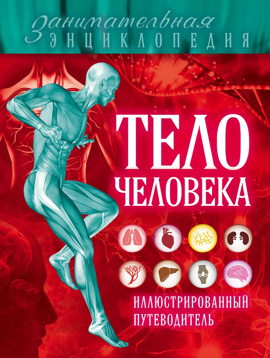 Тело человека: иллюстрированный путеводитель