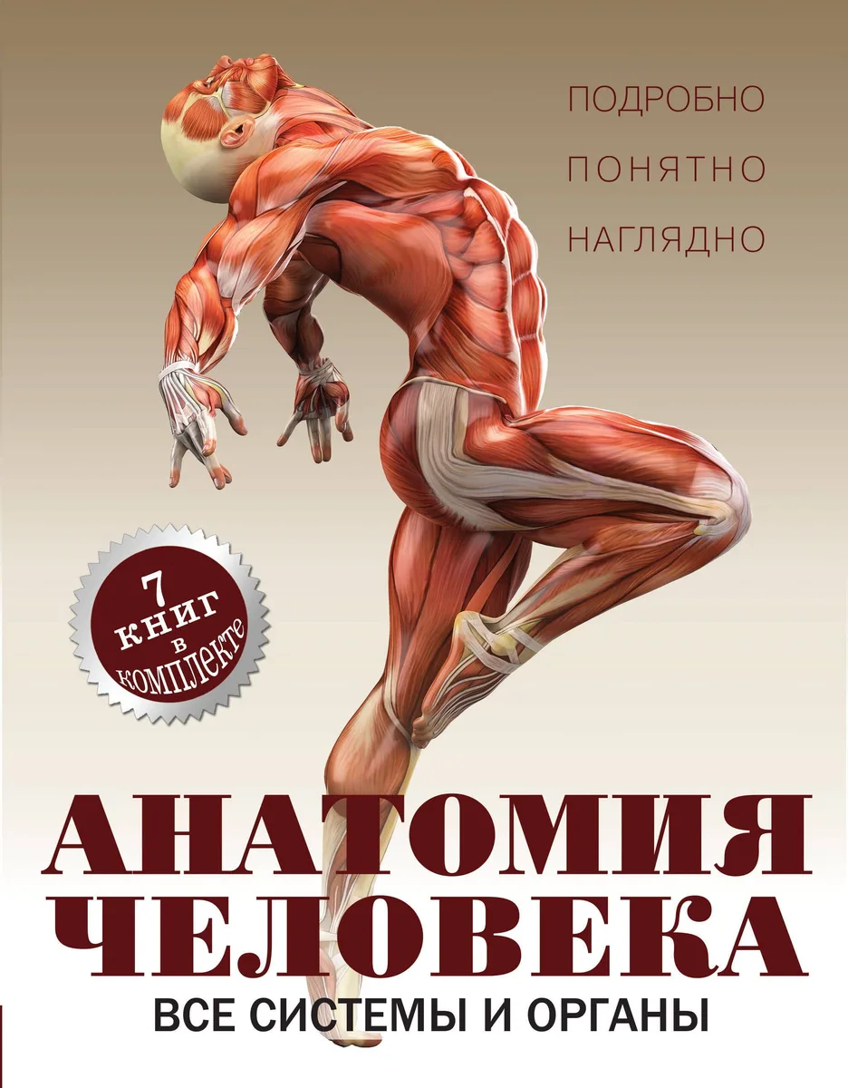 Анатомия человека. Все системы и органы