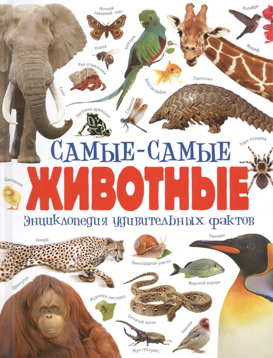 Самые-самые животные