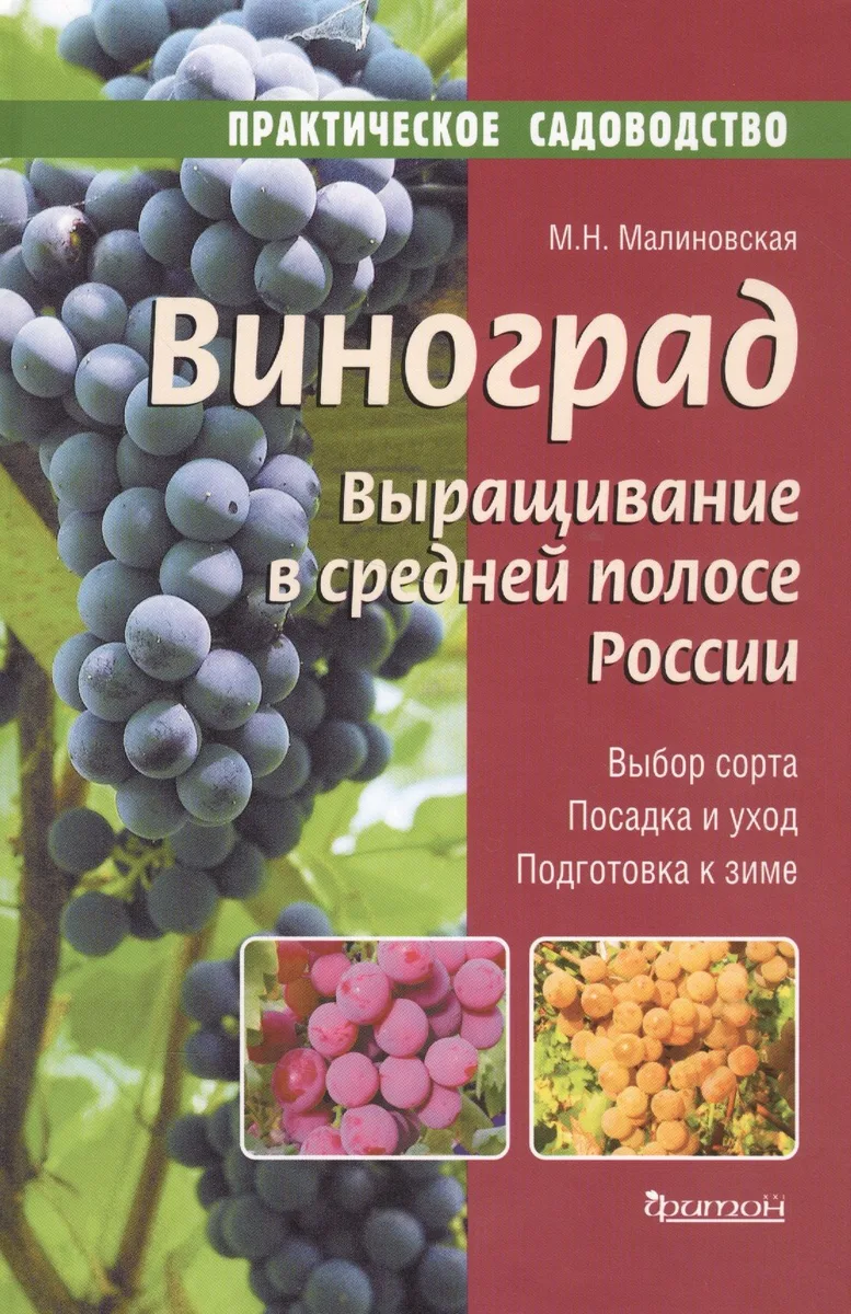 Виноград.Выращивание в средней полосе России.Выбор сорта.Посадка и уход.Подготовка к зиме