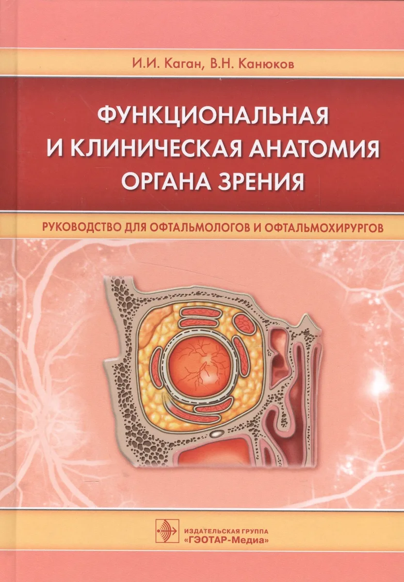 Функциональная и клиническая анатомия органа зрения.