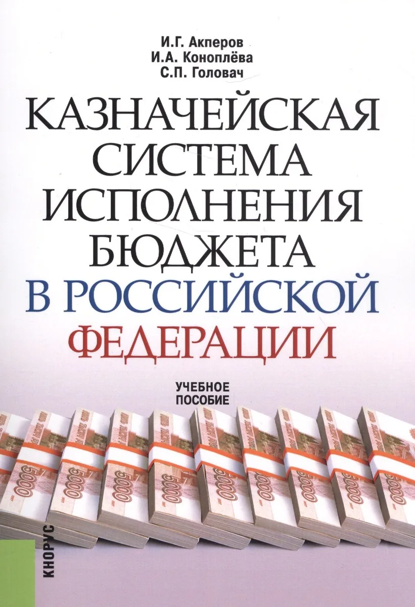 Казначейская система исполнения бюджета в Российской Федерации. Учебное пособие