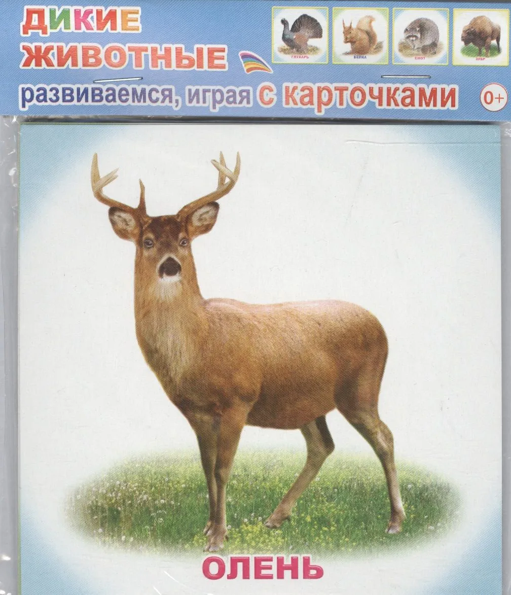 Обучающие карточки. Дикие животные