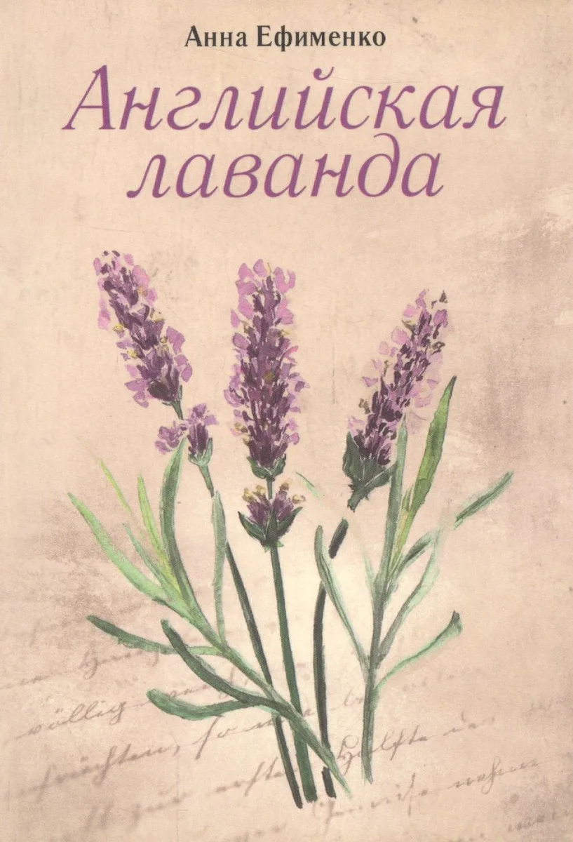 Английская лаванда