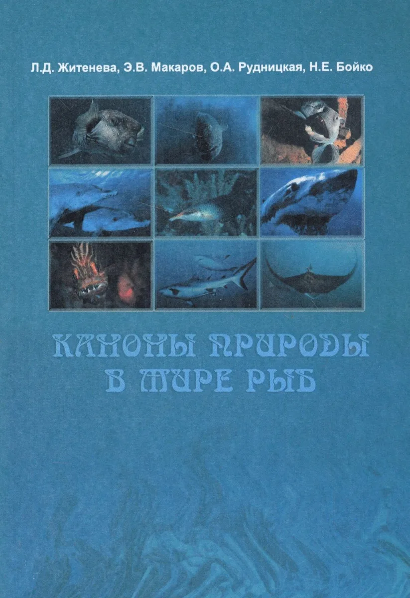 Каноны природы в мире рыб