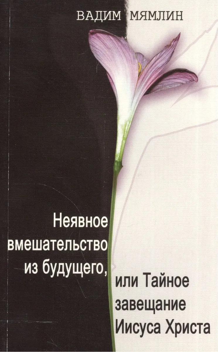Неявное вмешательство из будущего, или Тайное завещание Иисуса Христа: роман-притча.