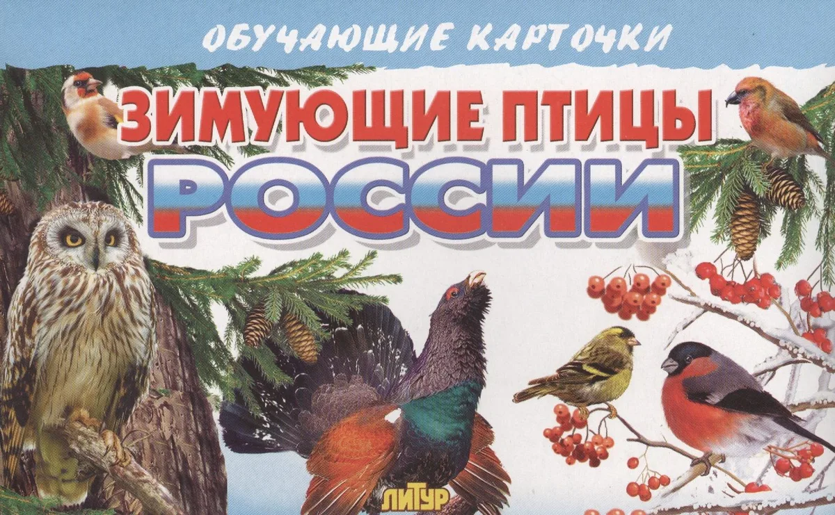 Зимующие птицы России