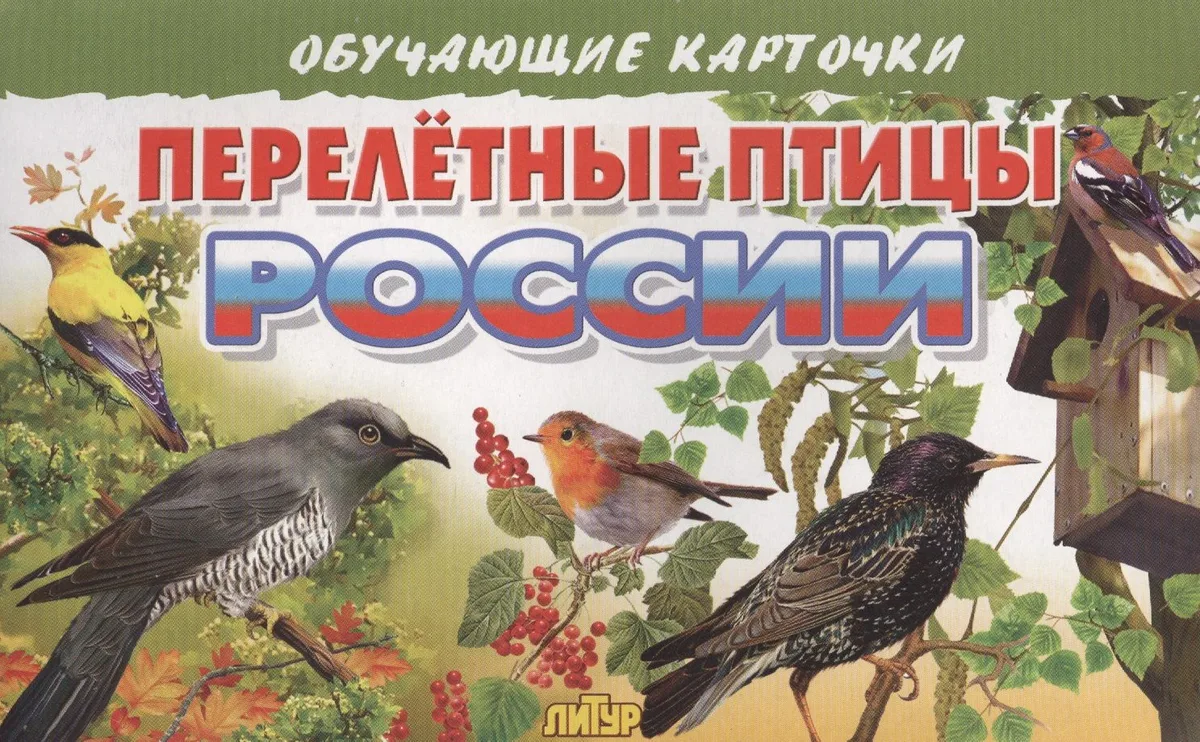 Перелетные птицы России
