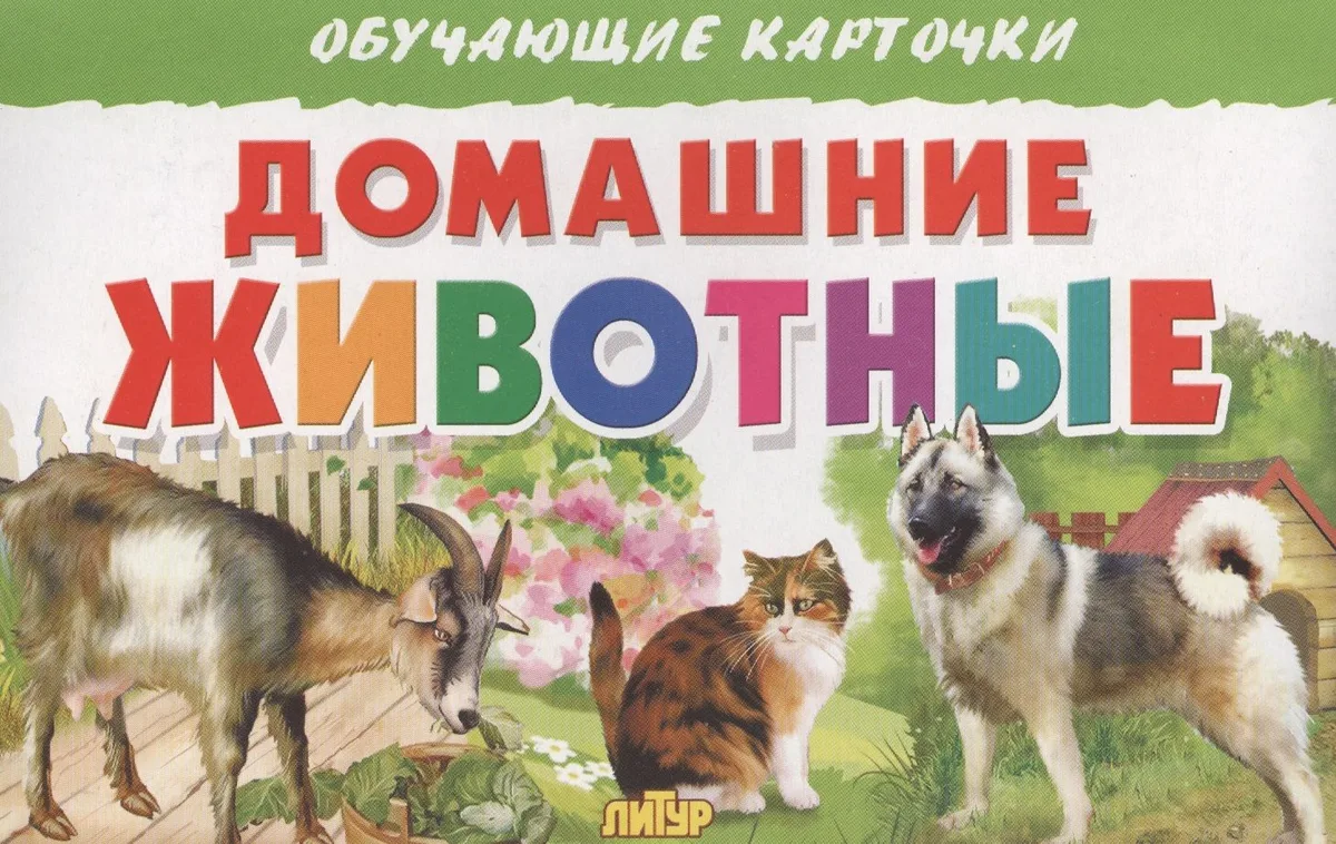 Обуч.карт.Домашние животные