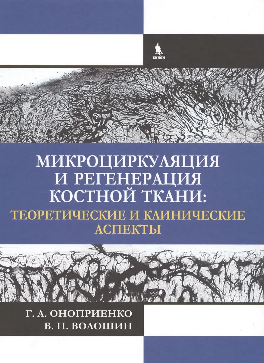 Микроциркуляция и регенерация костной ткани: теоретические и клинические аспекты