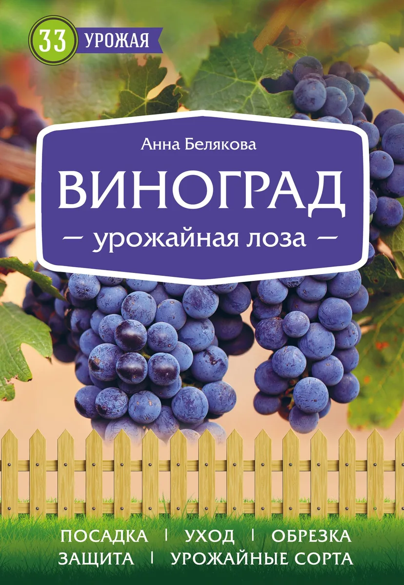 Виноград. Урожайная лоза (нов.оф)