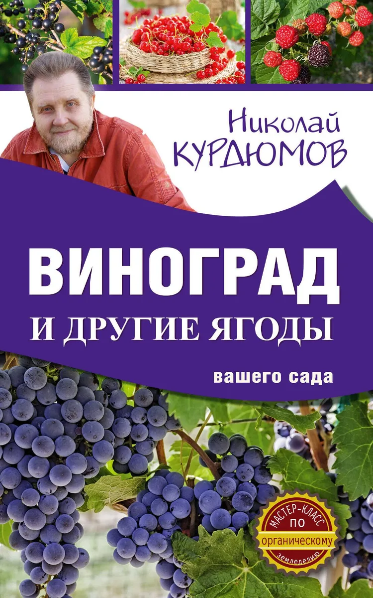 Виноград и другие ягоды вашего сада
