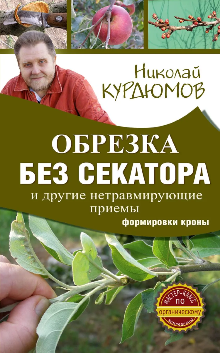 Обрезка без секатора и другие нетравмирующие приемы формировки кроны