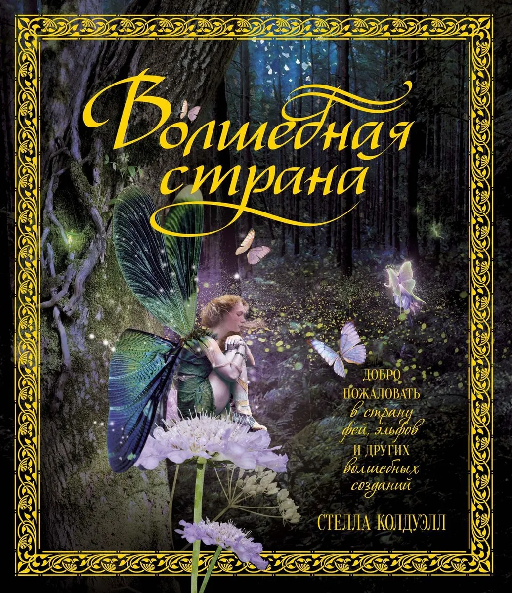 Волшебная страна