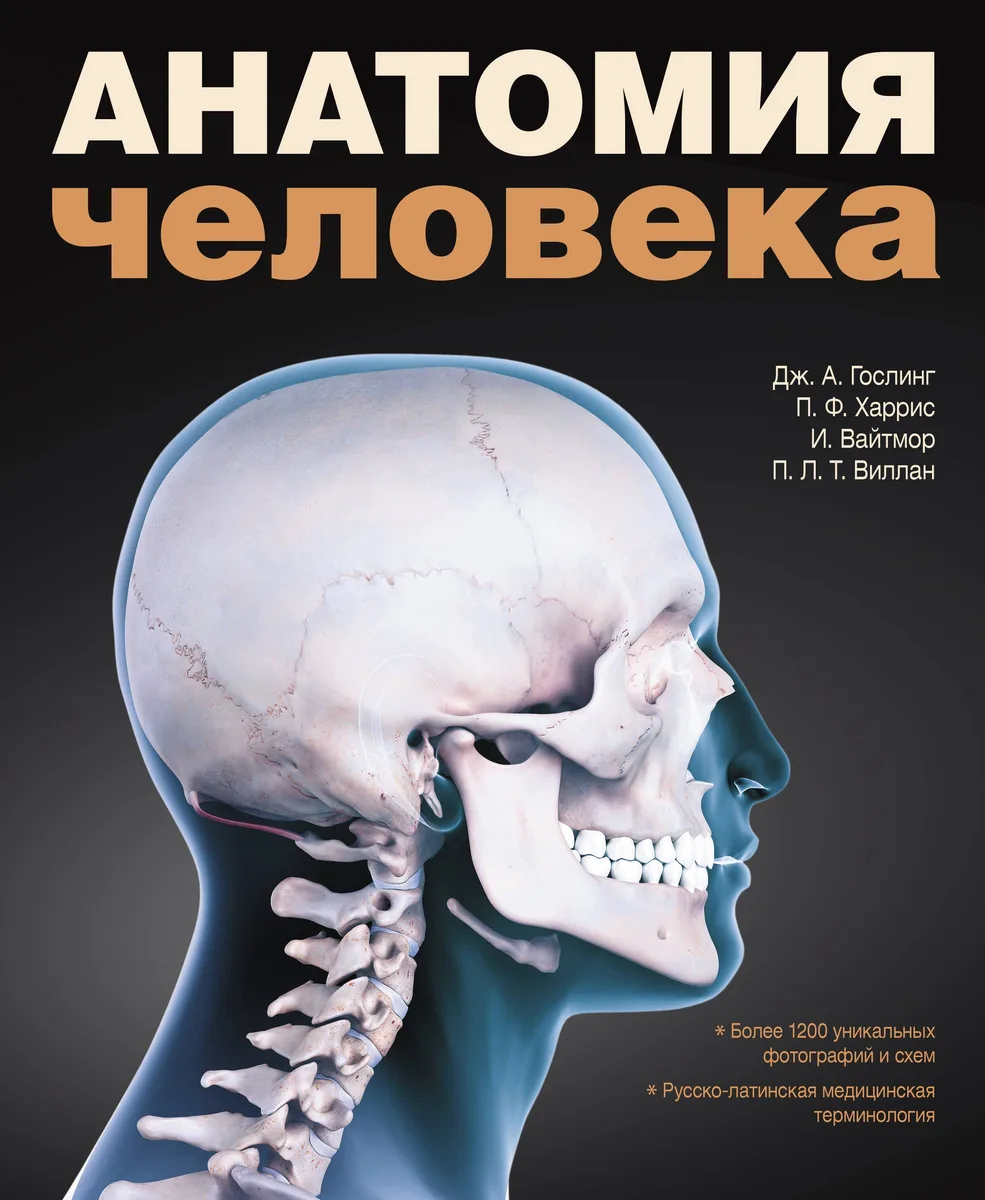 Анатомия человека