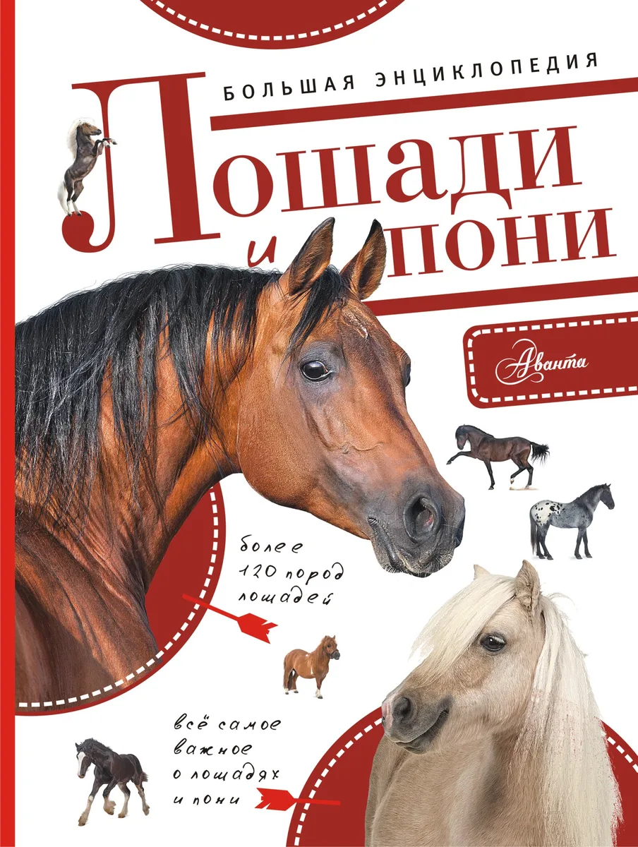 Большая энциклопедия. Лошади и пони