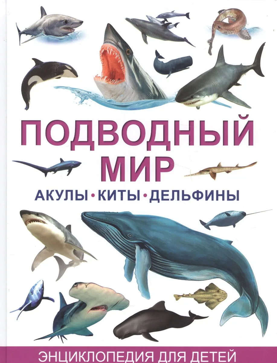 Акулы,киты и дельфины. Большая детская энциклопедия