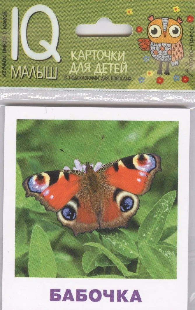 Умный малыш. Насекомые