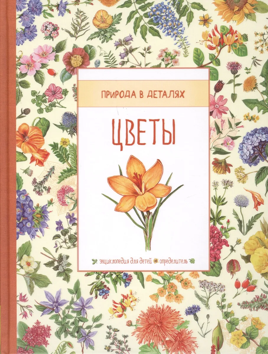 Цветы. Природа в деталях