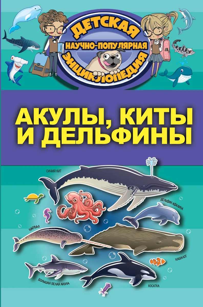 Акулы, киты, дельфины