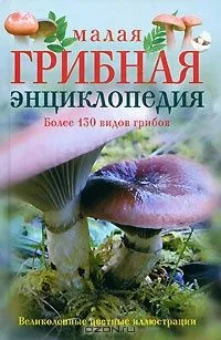 Малая грибная энциклопедия
