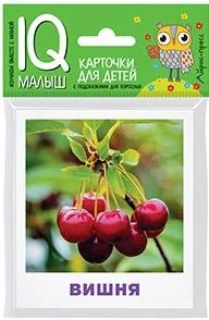 Умный малыш. Что растёт в саду?
