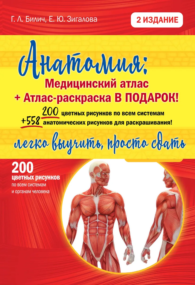 Анатомия легко! Подарок студенту