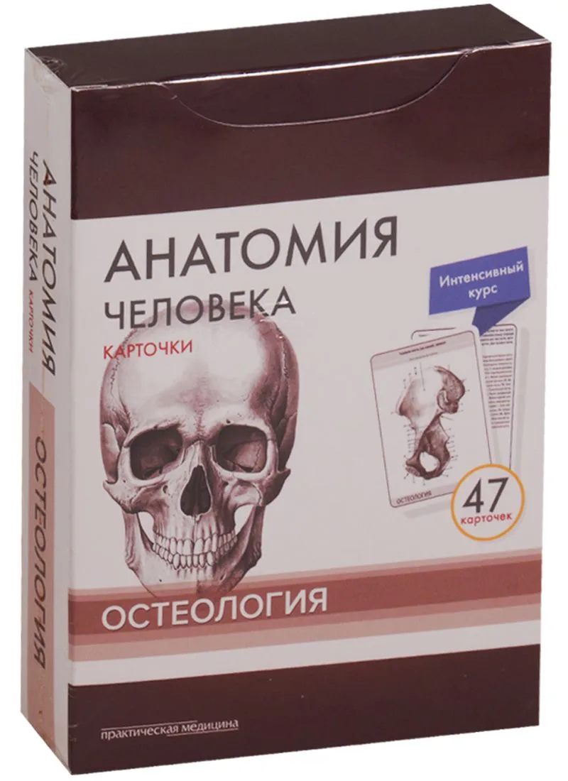 Анатомия человека. Карточки. Остеология. Интенсивный курс (47 карточек)