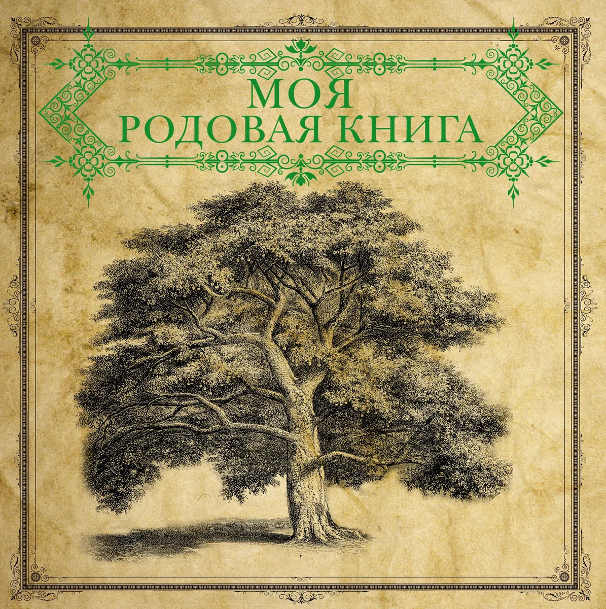 Моя родовая книга = История нашего рода