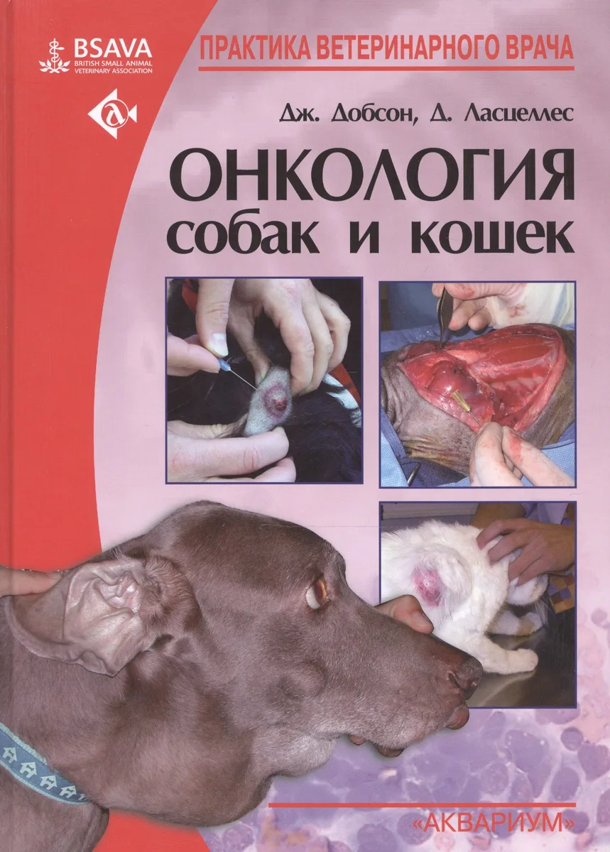 Онкология собак и кошек