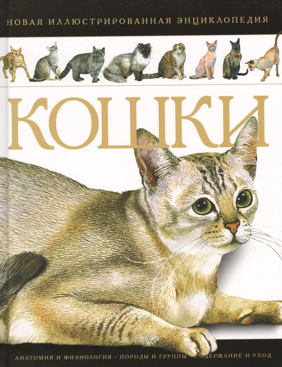 Кошки Новая иллюстрированная энциклопедия (илл. Волынца) Волкова