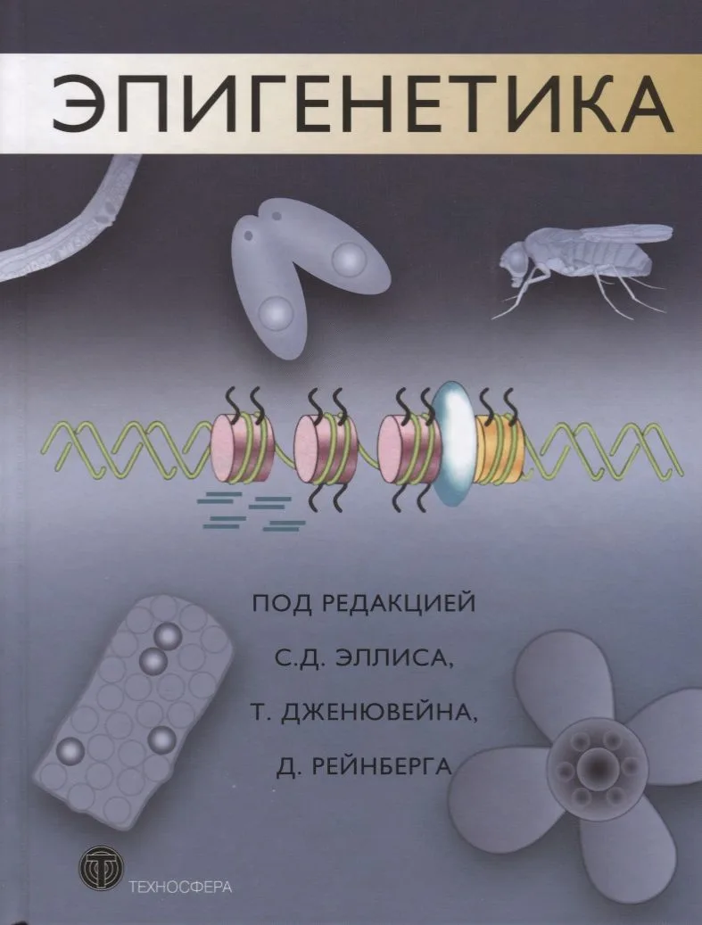 Эпигенетика (МБиМ)