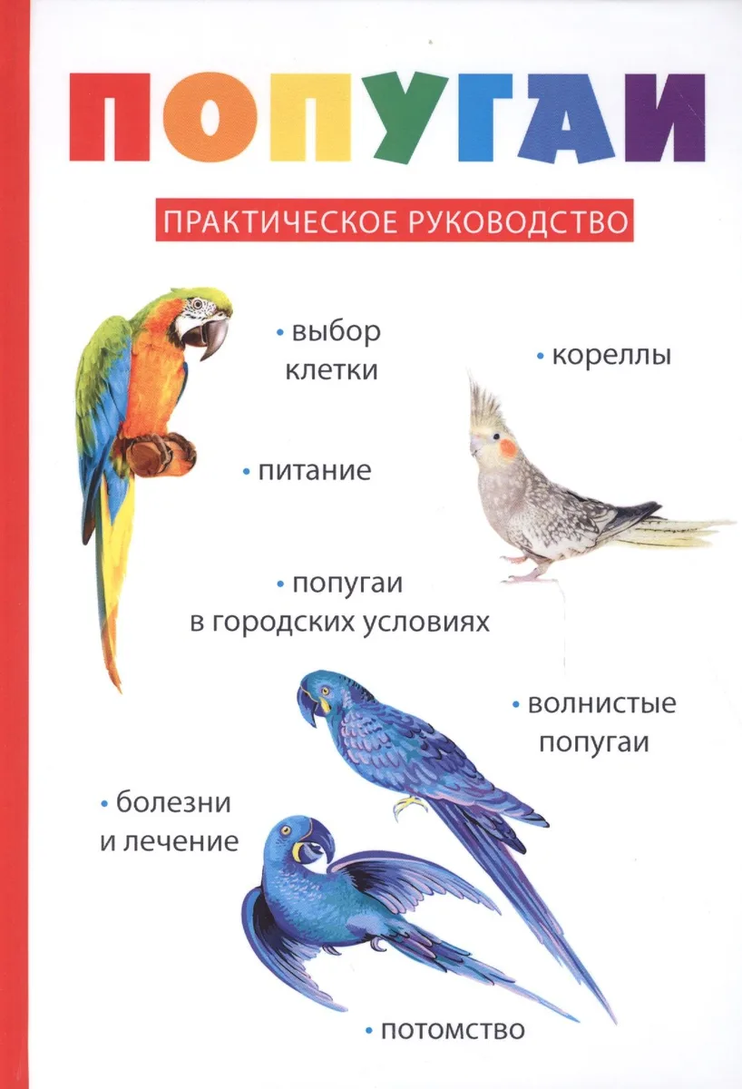 Попугаи.