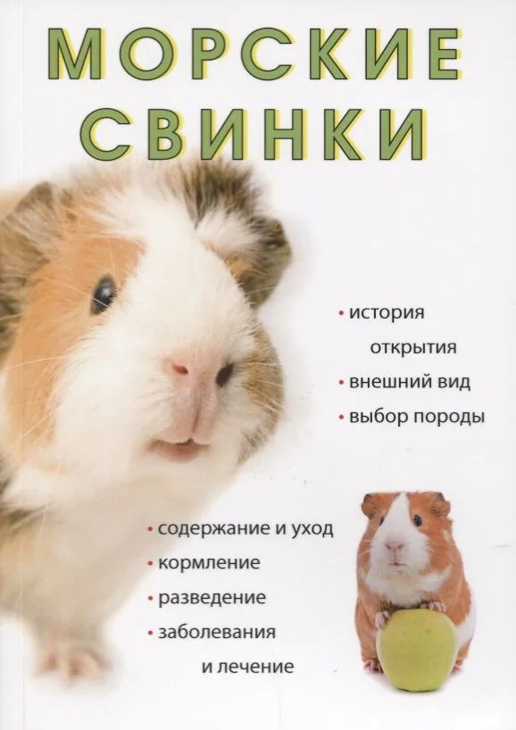 Морские свинки