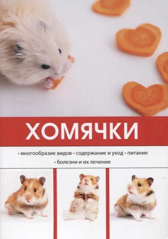 Хомячки.