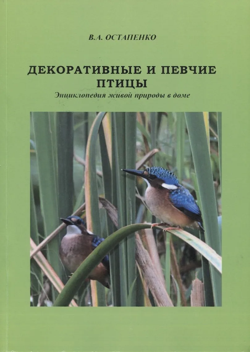 Декоративные и певчие птицы. Энциклопедия живой природы в доме