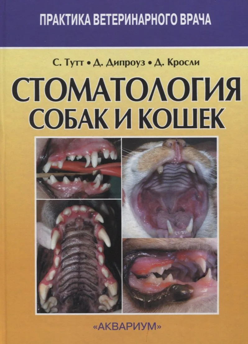 Стоматология собак и кошек