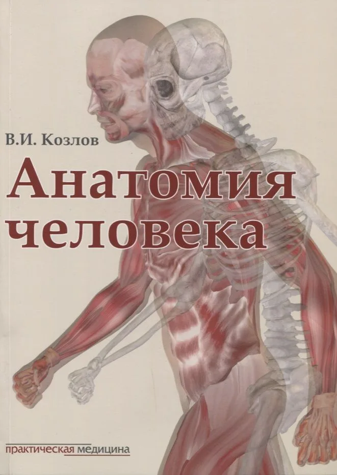 Анатомия человека: учебник
