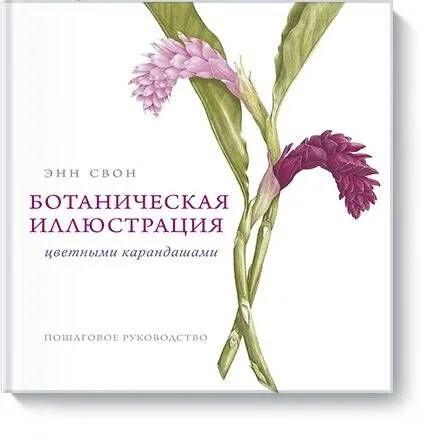 Ботаническая иллюстрация цветными карандашами. Пошаговое руководство