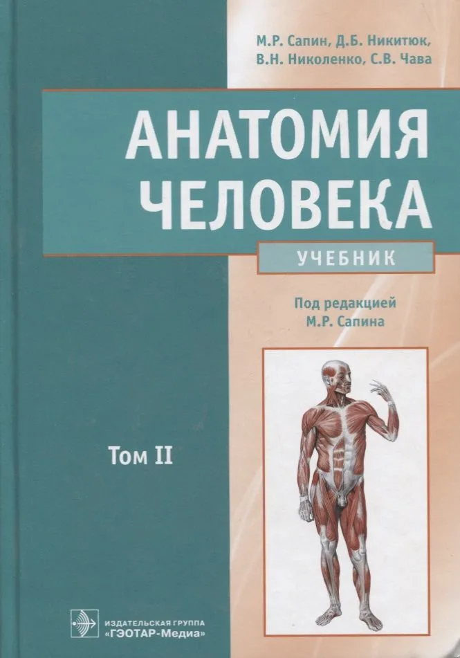 Анатомия человека : учебник : в 2 томах Т.2