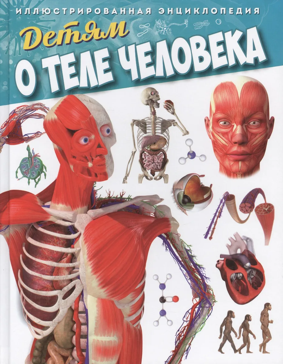 Детям о теле человека. Иллюстрированная энциклопедия
