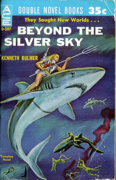 Beyond the Silver Sky. Meeting at Infinity