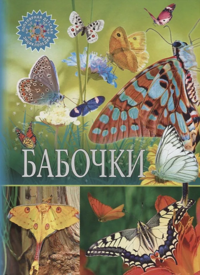 Бабочки