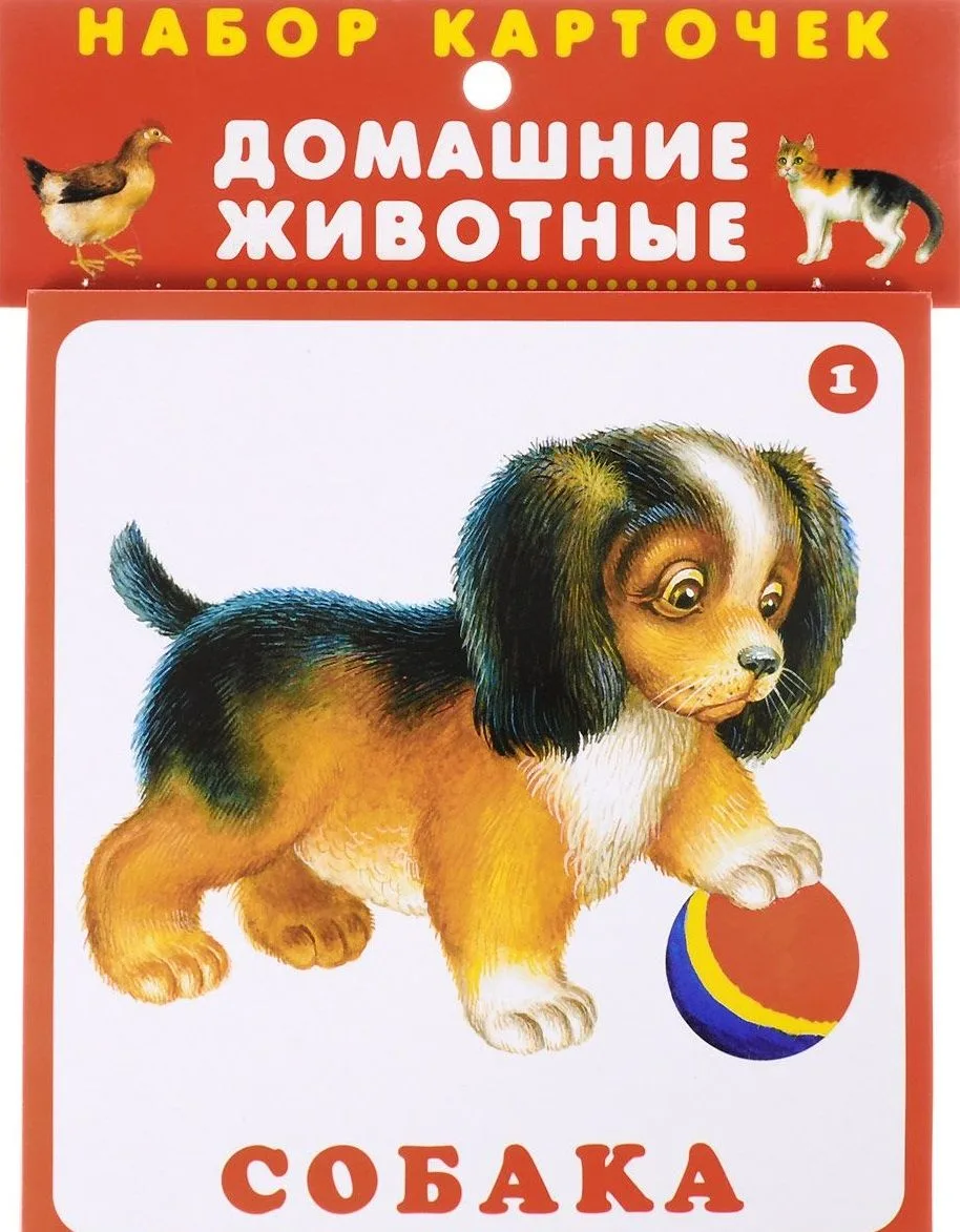 Домашние животные