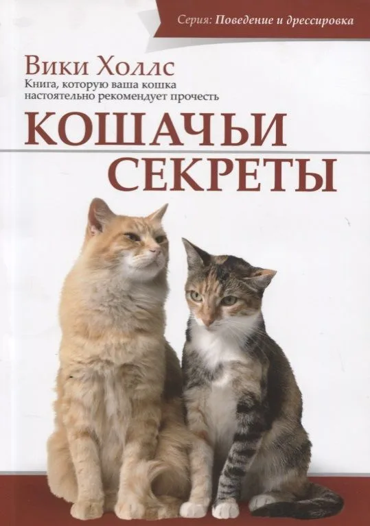Кошачьи секреты