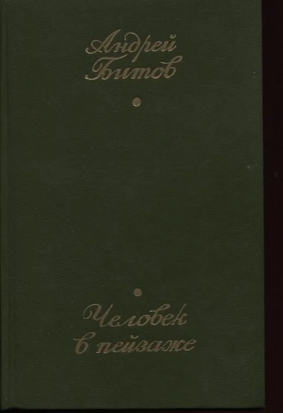 Человек в пейзаже
