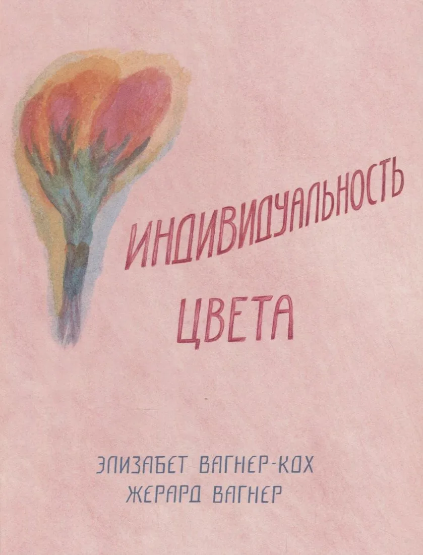 Индивидуальность цвета. Путь упражнений по живописи и переживанию цвета
