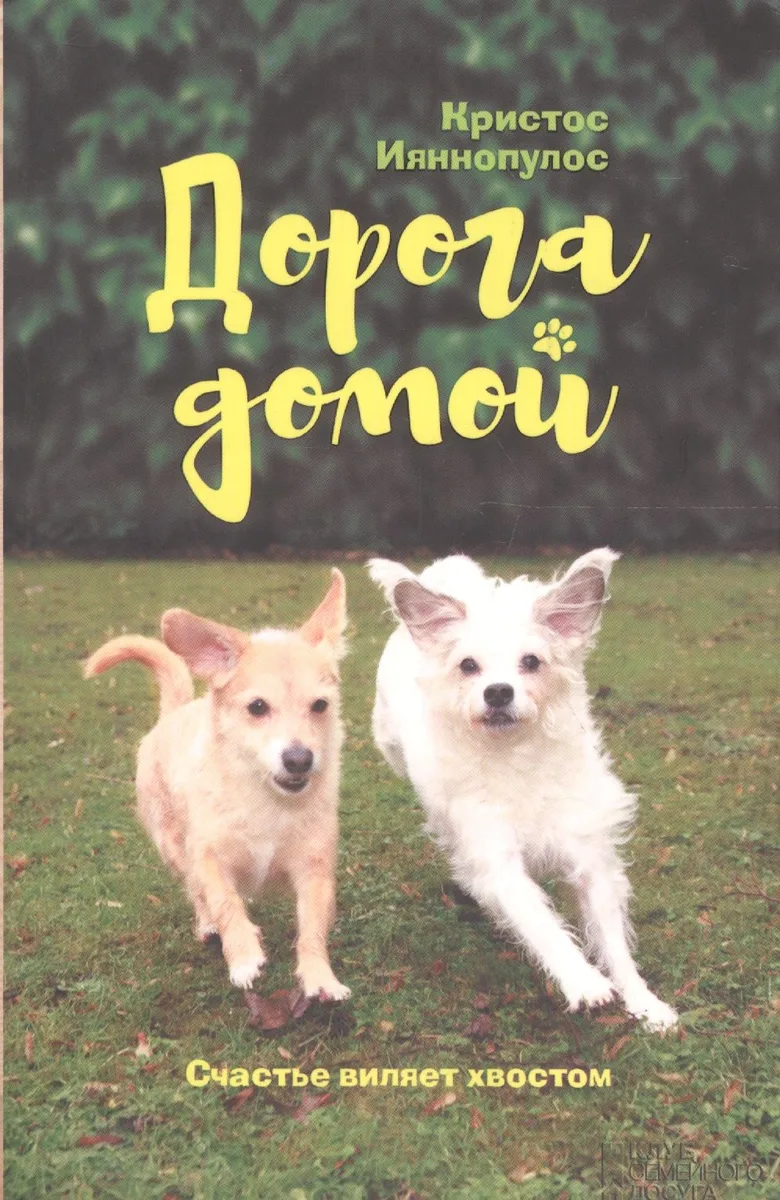 Дорога домой