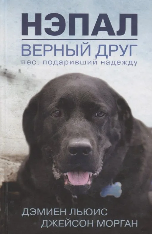 Нэпал - верный друг. Пес, подаривший надежду